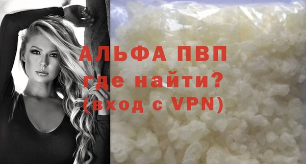 стафф Арсеньев