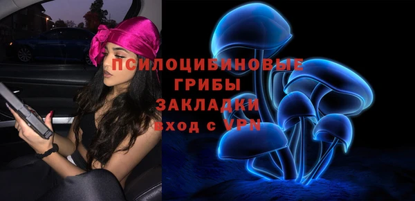 гашик Аркадак