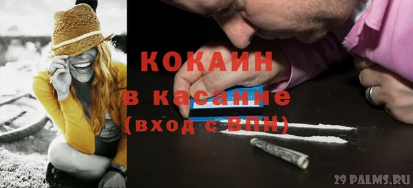 гашик Аркадак