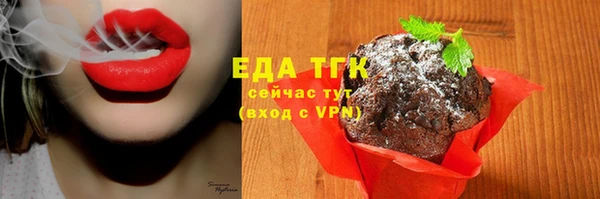 стафф Арсеньев