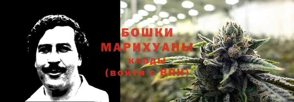 гашик Аркадак