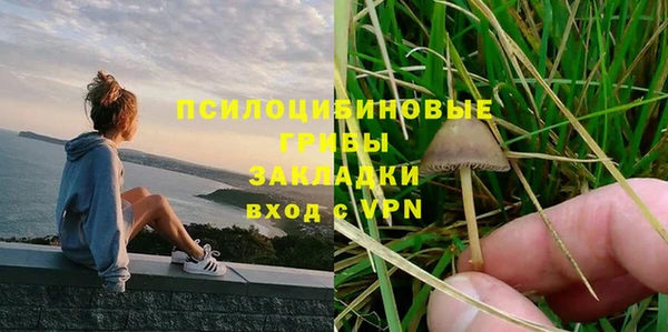 гашик Аркадак