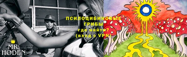стафф Арсеньев