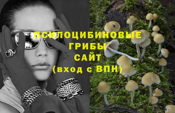 гашик Аркадак