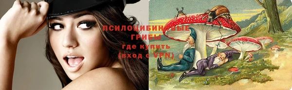 стафф Арсеньев